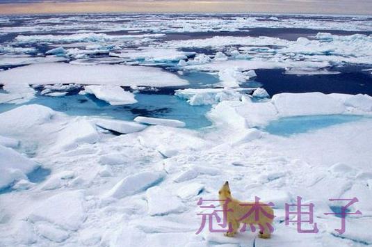 极地地区持续升温采用无人机高频晶振暗中保护北极熊